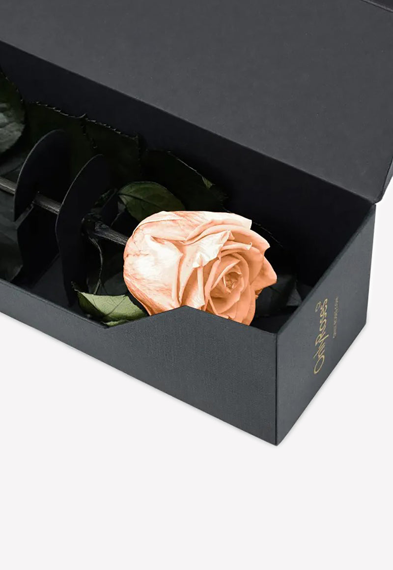 OnlyRoses Infinite Rose Statement Peach 