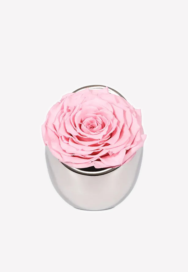 OnlyRoses Infinite Rose Luna Pale Pink 