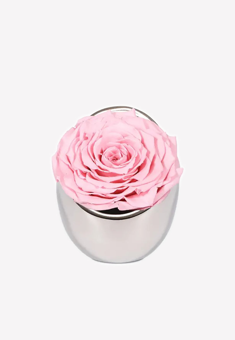 OnlyRoses Infinite Rose Luna Pale Pink 