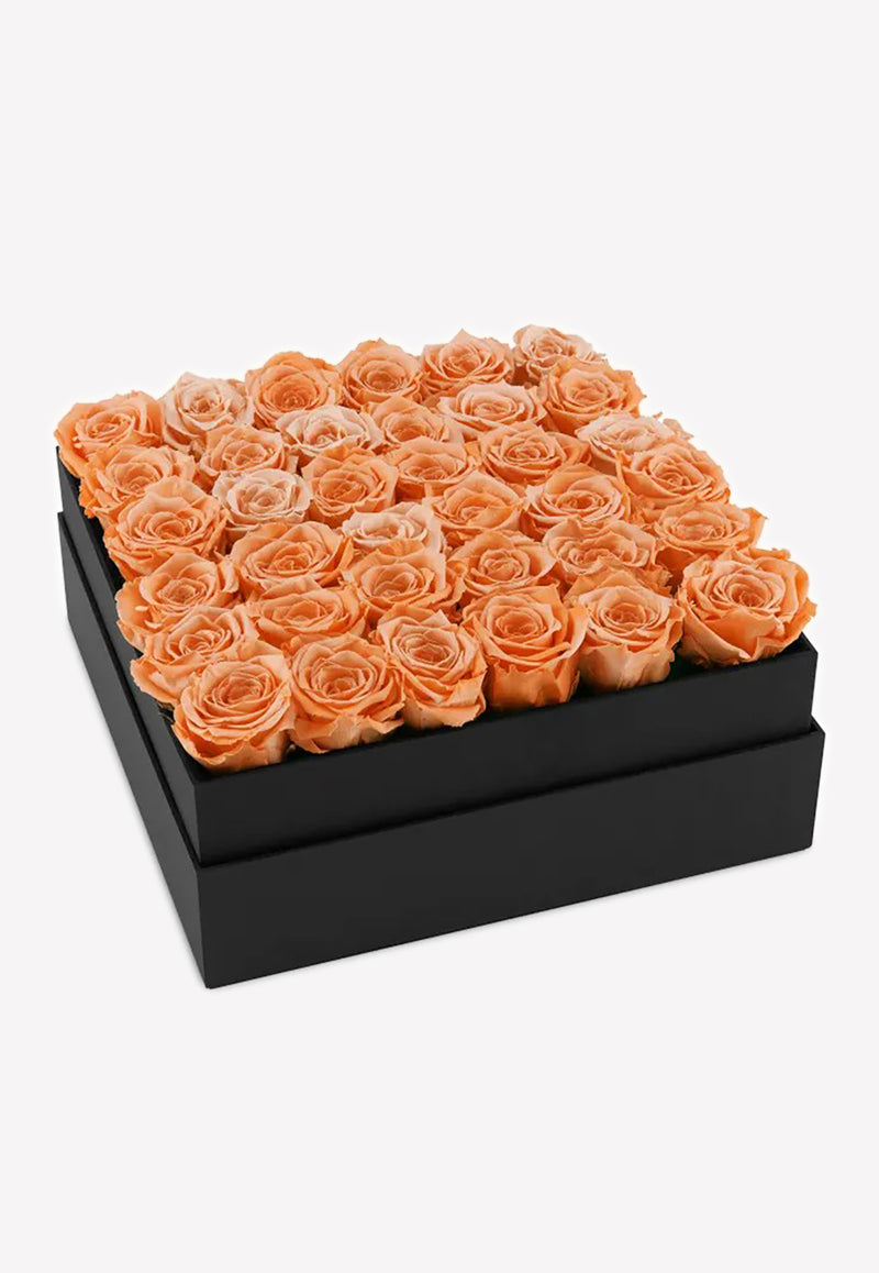 OnlyRoses Large Infinite Rose Plaza Peach 