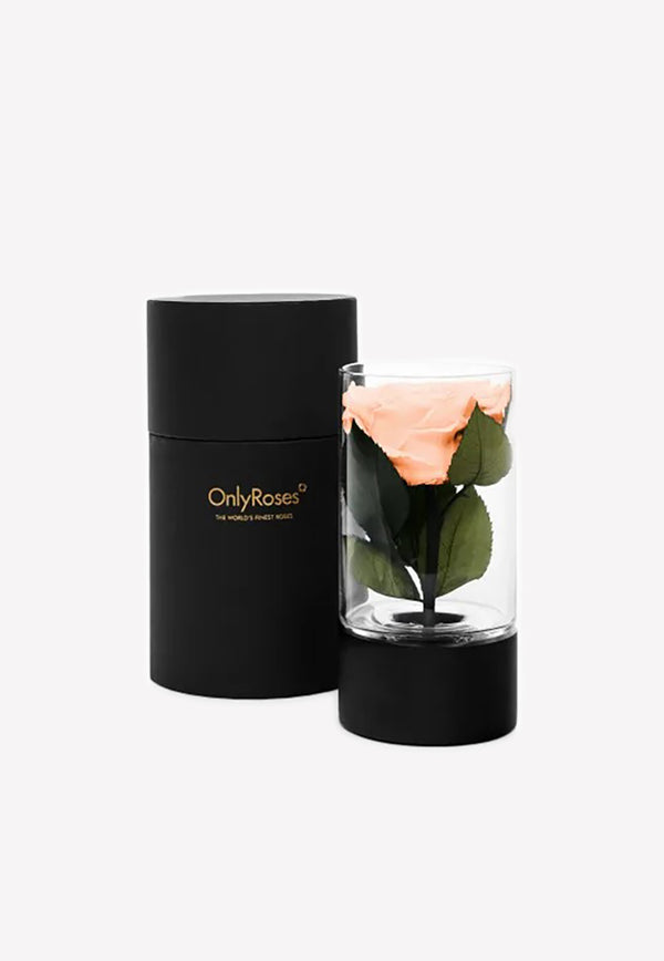 OnlyRoses Small Infinite Rose Ebony Peach 