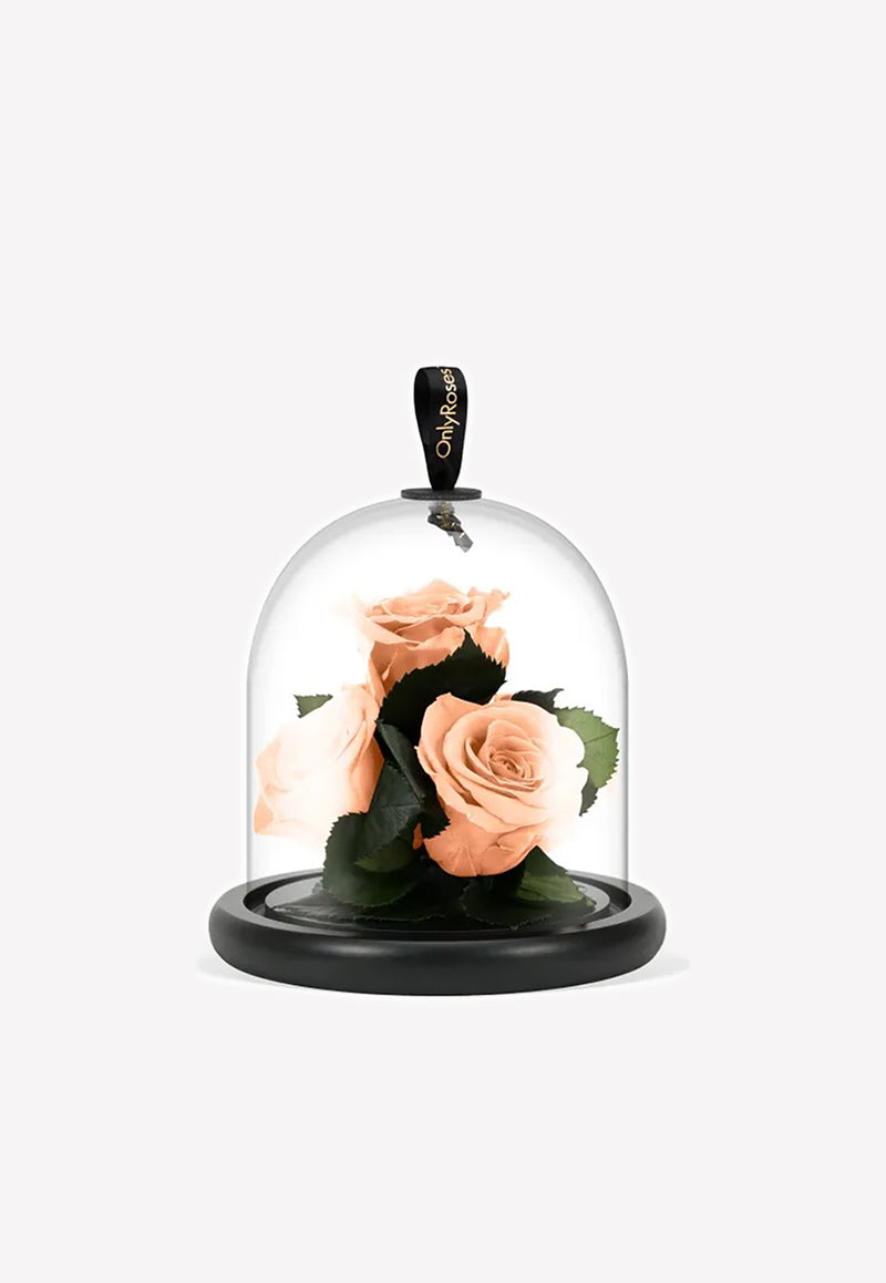 OnlyRoses Infinite Rose Gem Peach 