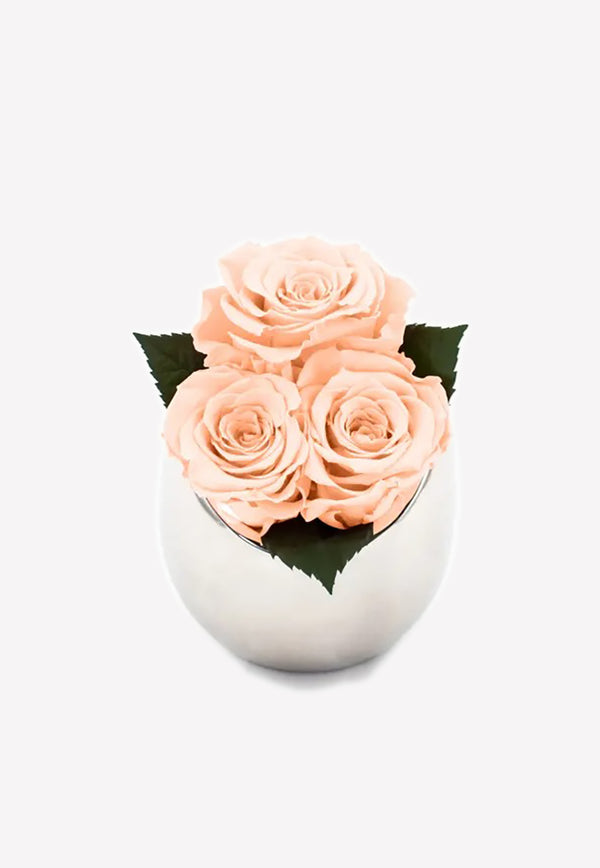 OnlyRoses Infinite Rose Fortune Peach 