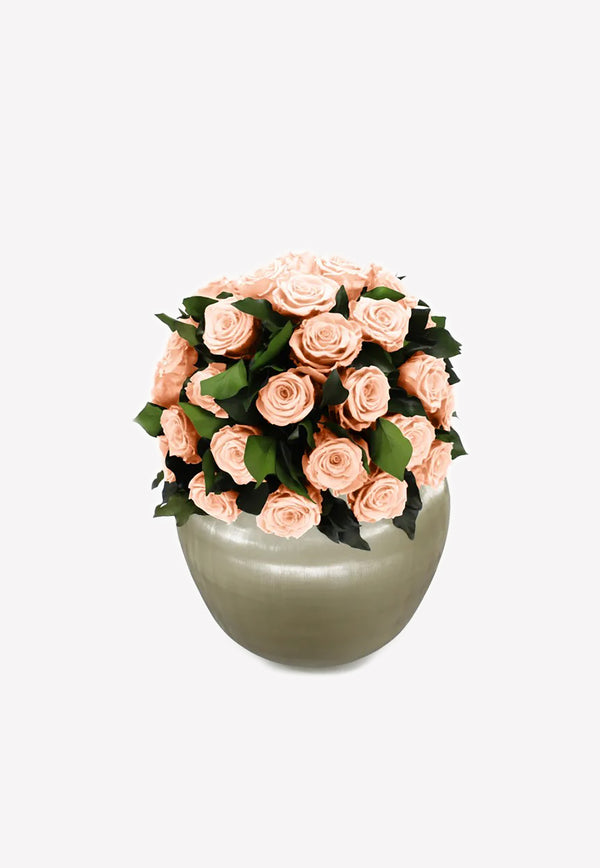 OnlyRoses XXL Infinite Rose Sienna Peach 