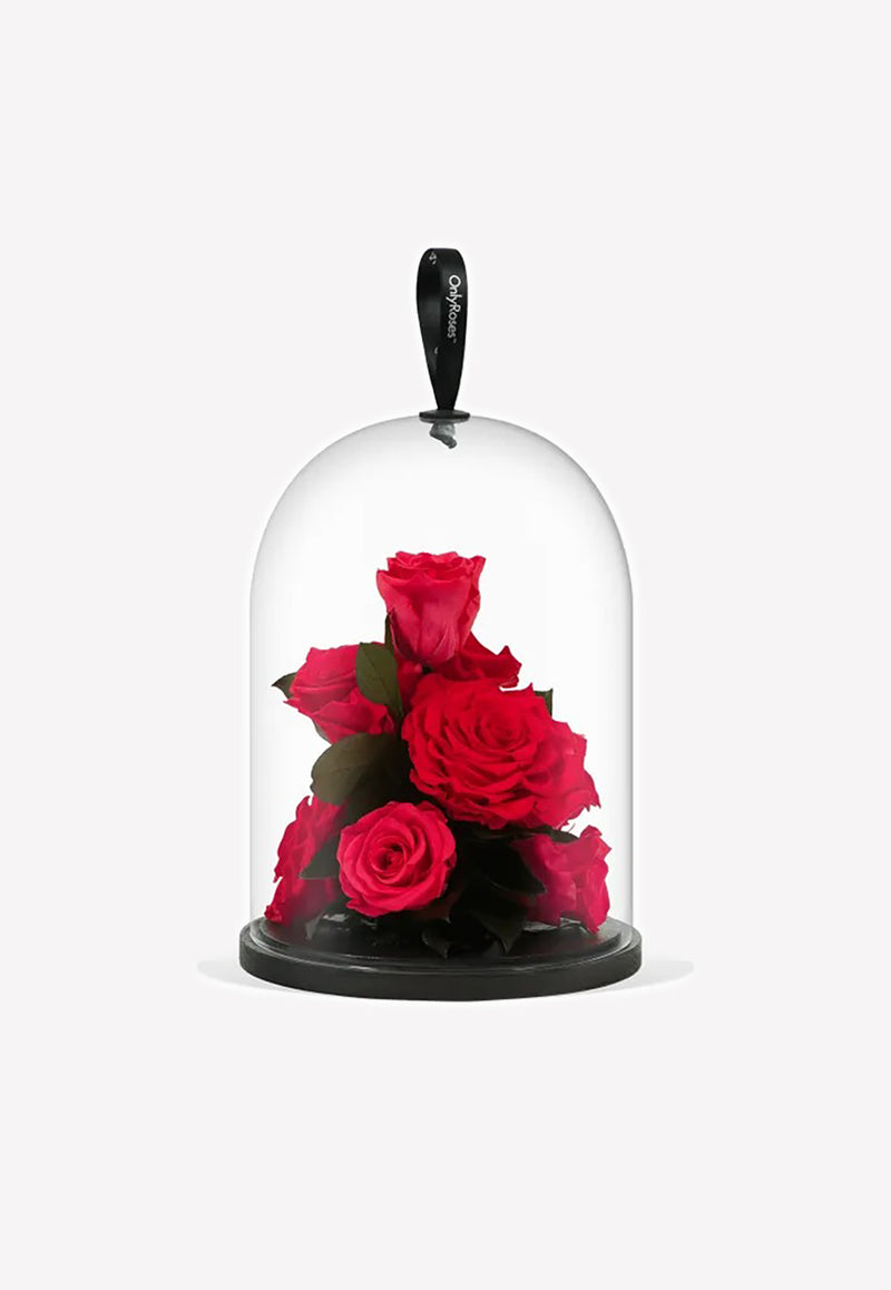 OnlyRoses Infinite Rose Jewel Raspberry 