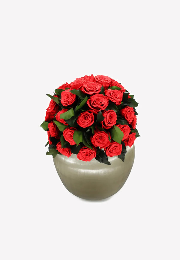 OnlyRoses XXL Infinite Rose Sienna Raspberry 