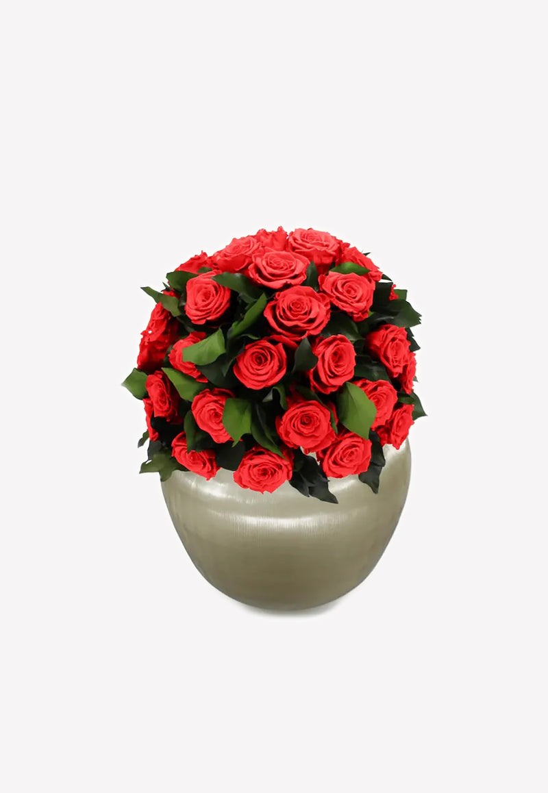 OnlyRoses XXL Infinite Rose Sienna Raspberry 