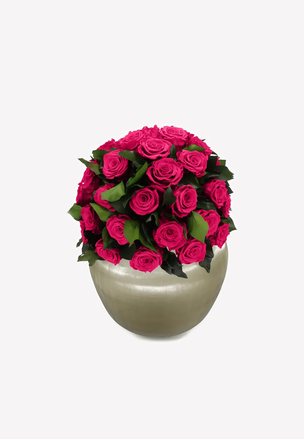 OnlyRoses XXL Infinite Rose Sienna Rhubarb 