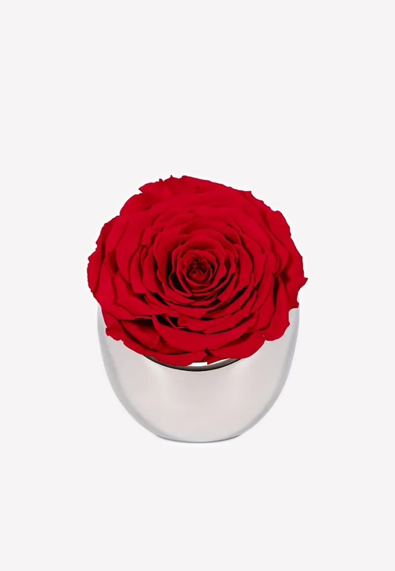 OnlyRoses Infinite Rose Luna Scarlet 