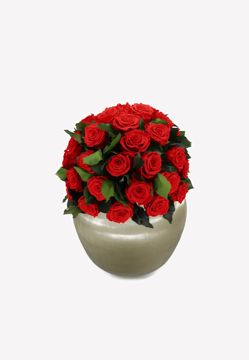 OnlyRoses XXL Infinite Rose Sienna Scarlet 