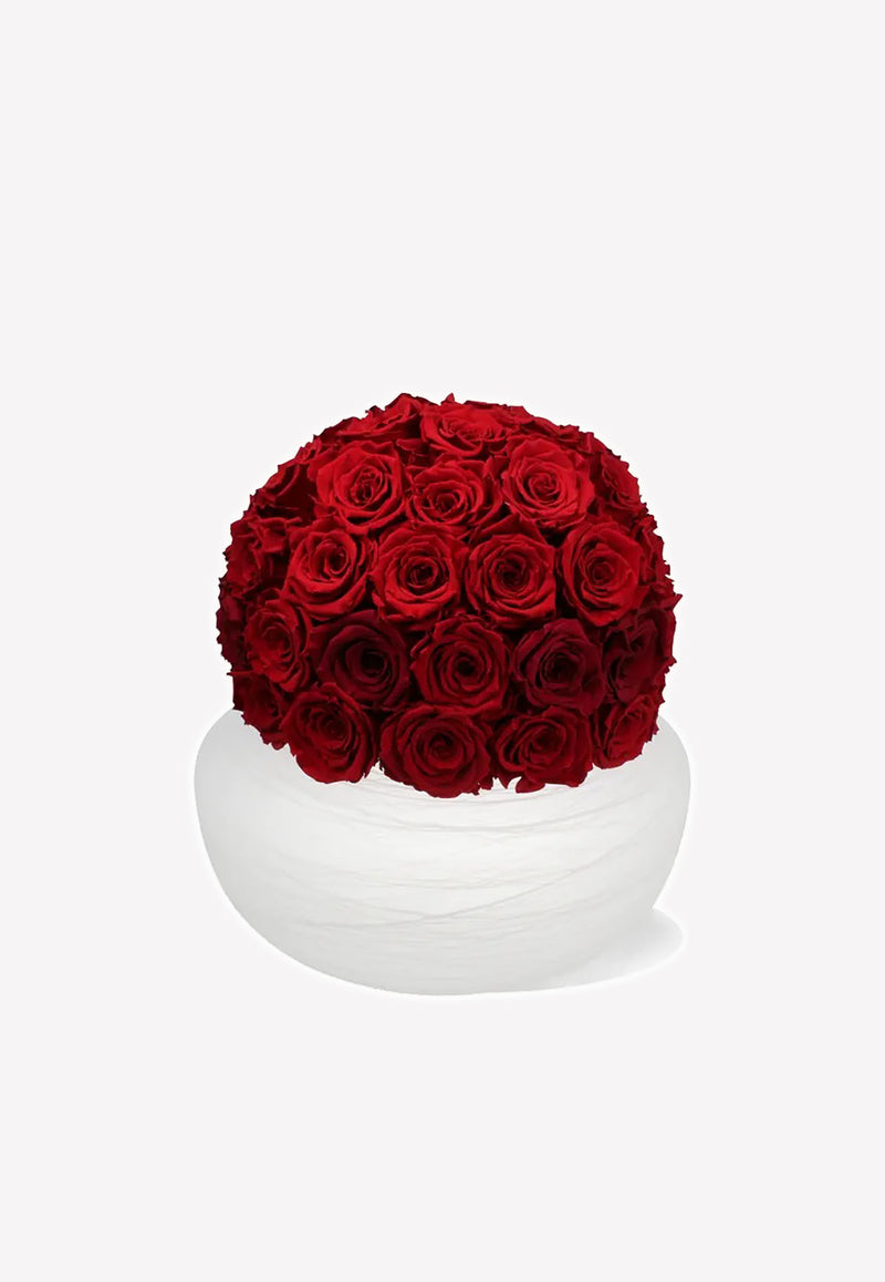 OnlyRoses Infinite Rose Savannah Scarlet 