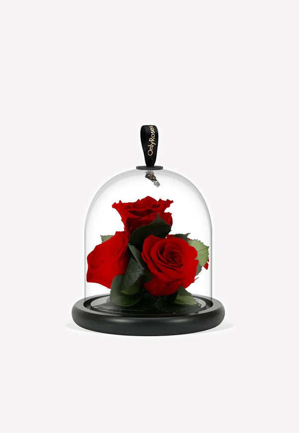 OnlyRoses Infinite Rose Gem Scarlet 