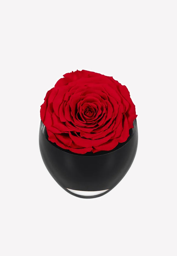 OnlyRoses The Infinite Rose Scarlet 