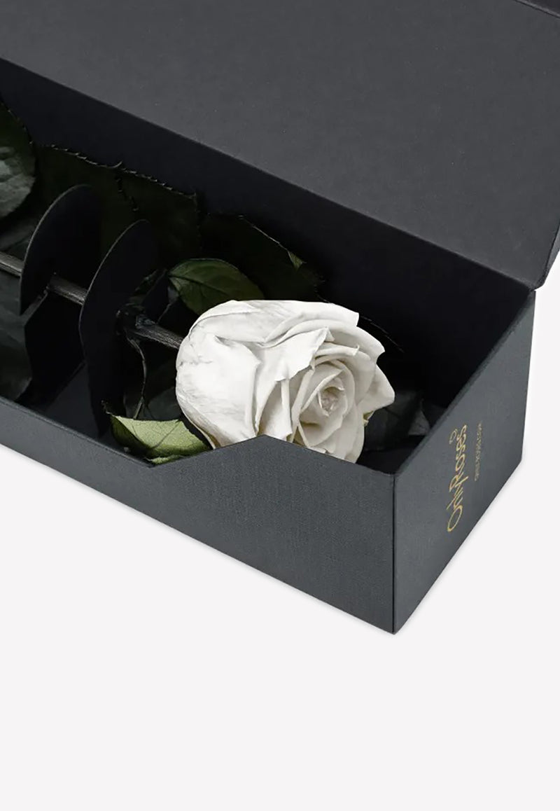 OnlyRoses Infinite Rose Statement White 