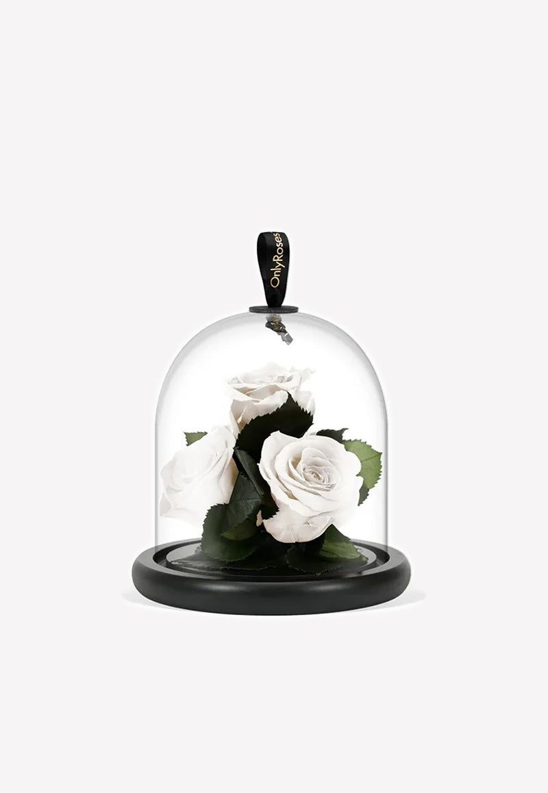 OnlyRoses Infinite Rose Gem White 