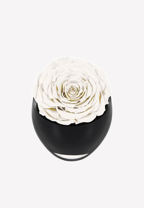 OnlyRoses The Infinite Rose White 