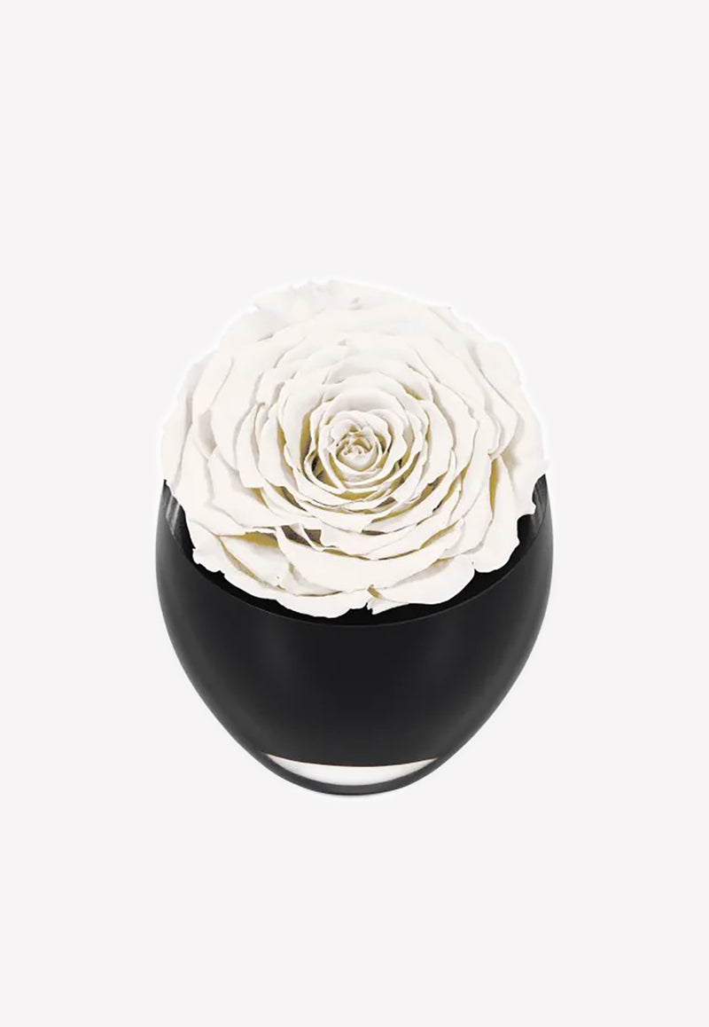 OnlyRoses The Infinite Rose White 