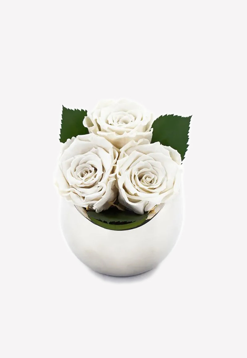 OnlyRoses Infinite Rose Fortune White 