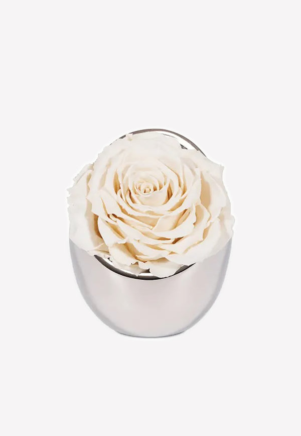 OnlyRoses Infinite Rose Luna White 