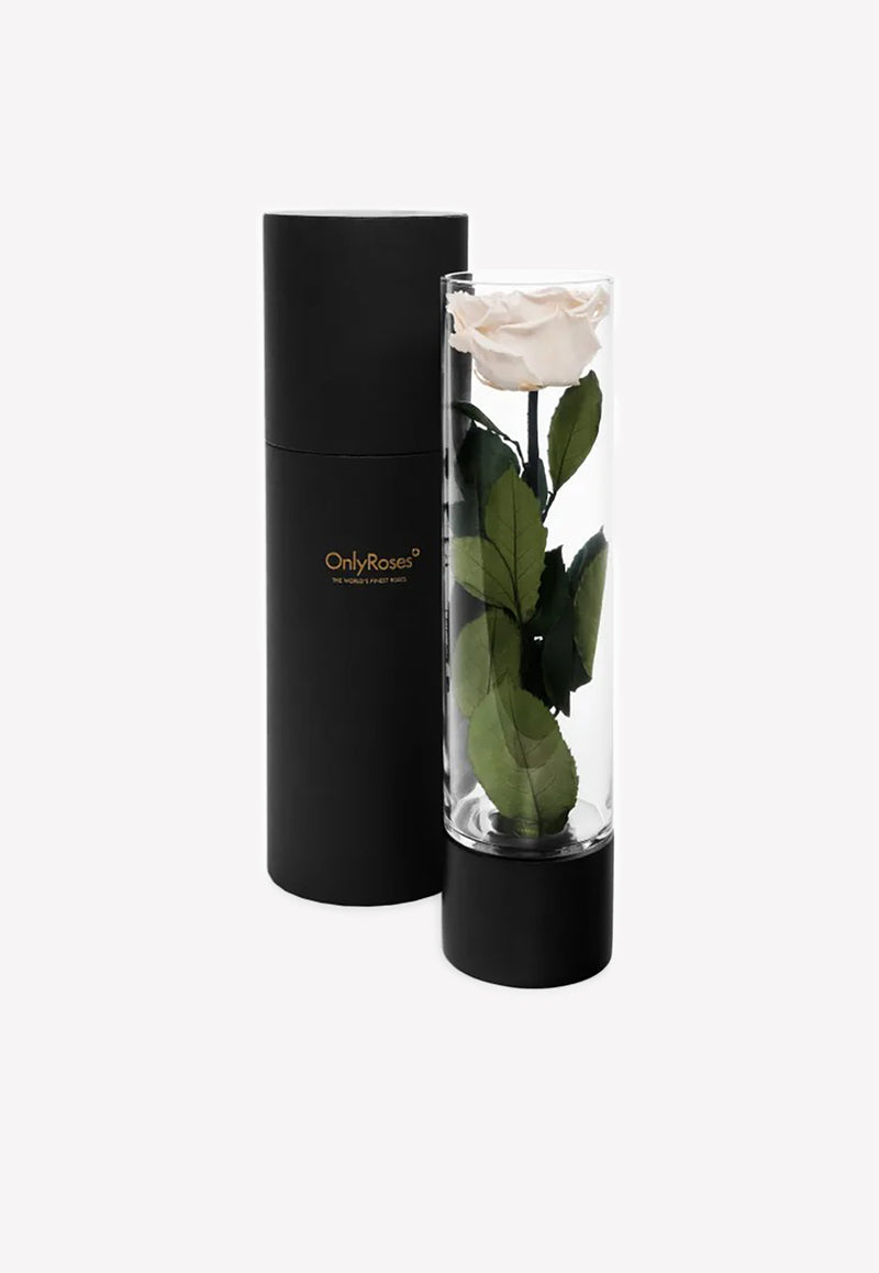 OnlyRoses Large Infinite Rose Ebony White 